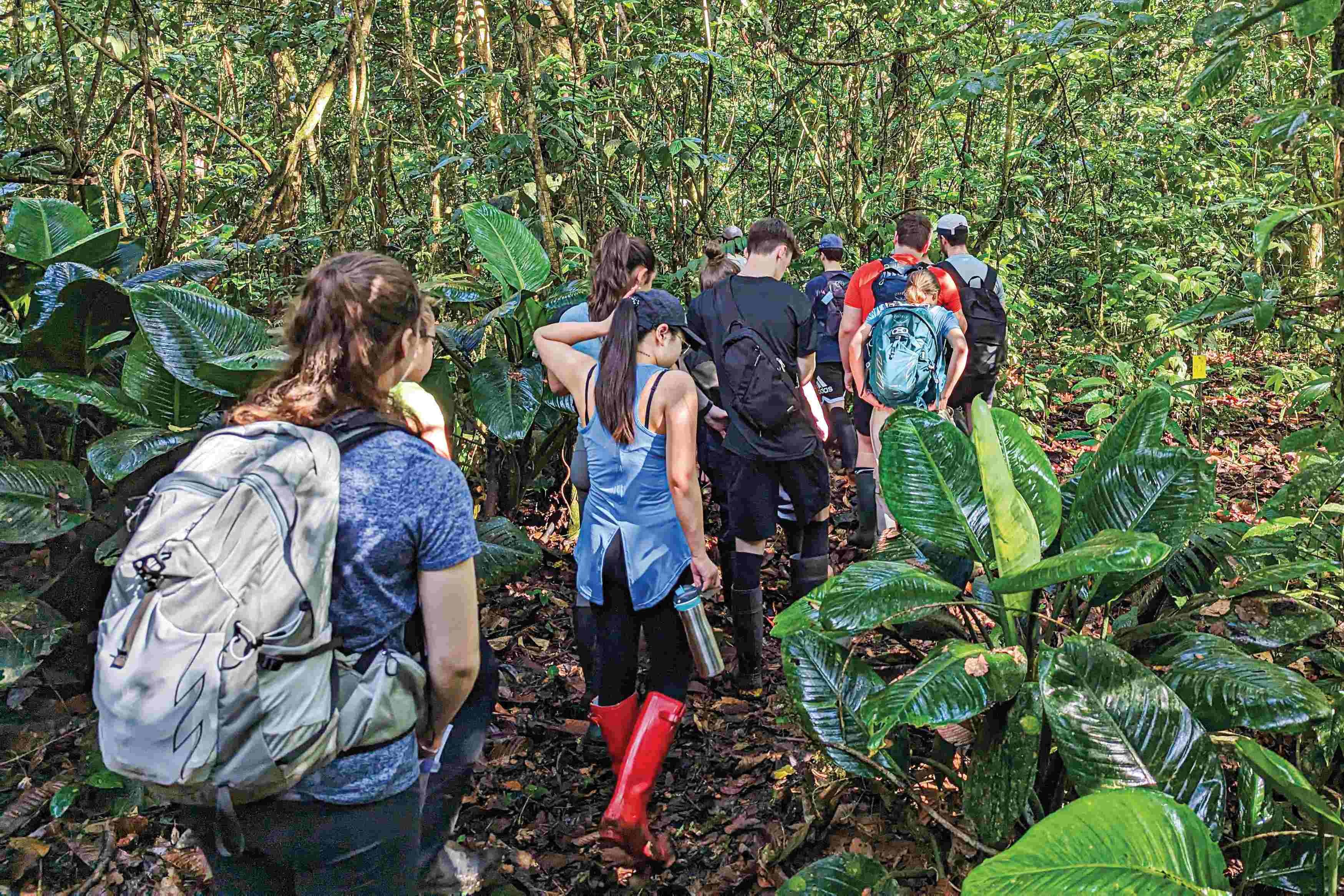 Étudiants du Cégep de Lévis se promenant dans la forêt.