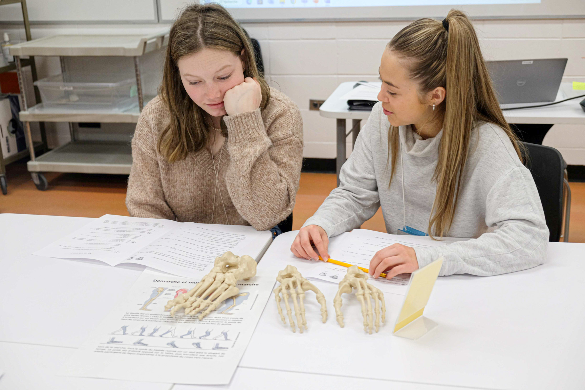 étudiants dans un cours de sciences avec squelettes de mains