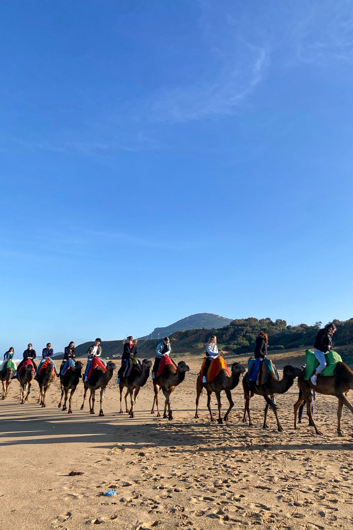 excursion en chameaux sur le sable voyage