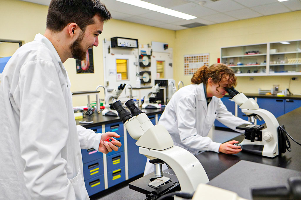 biotechnologies-culture-cellulaire