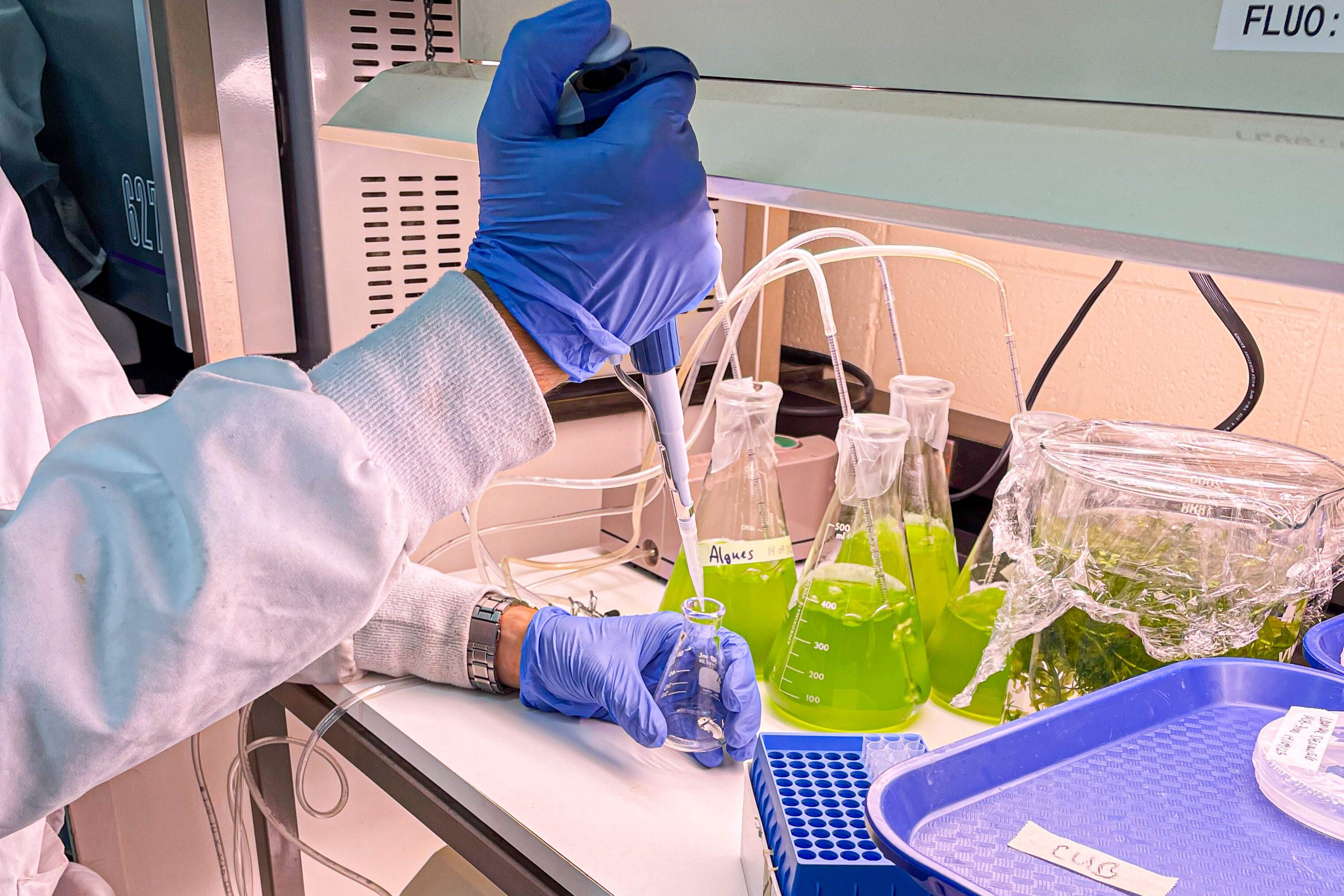 biotechnologies-labo-étudiants-5