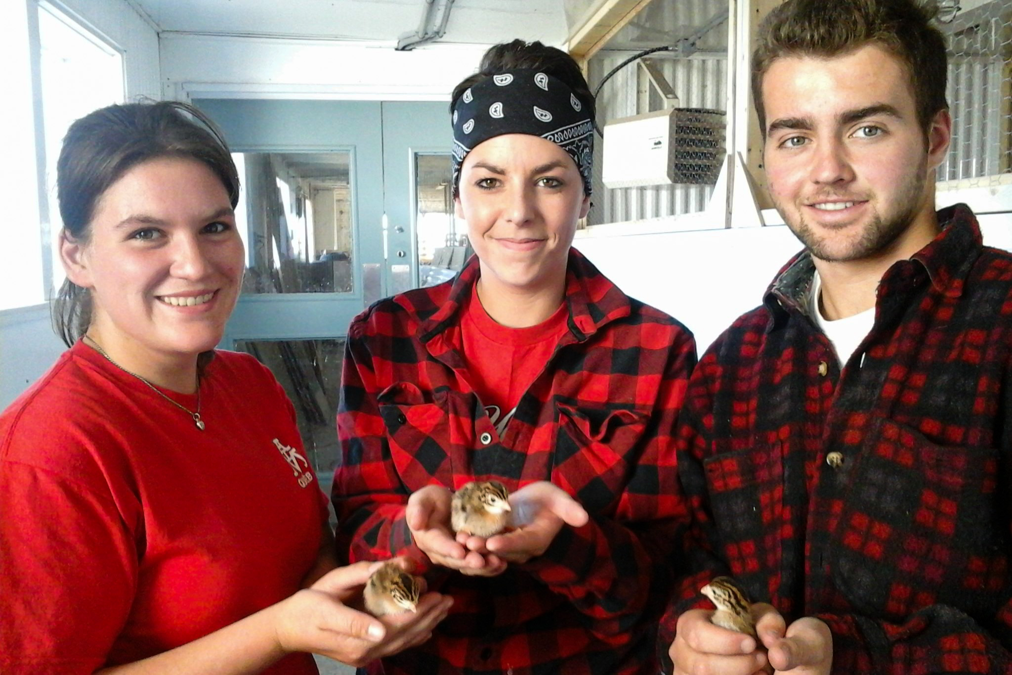 étudiants-poussins-gestion-technologies-entreprise-agricole