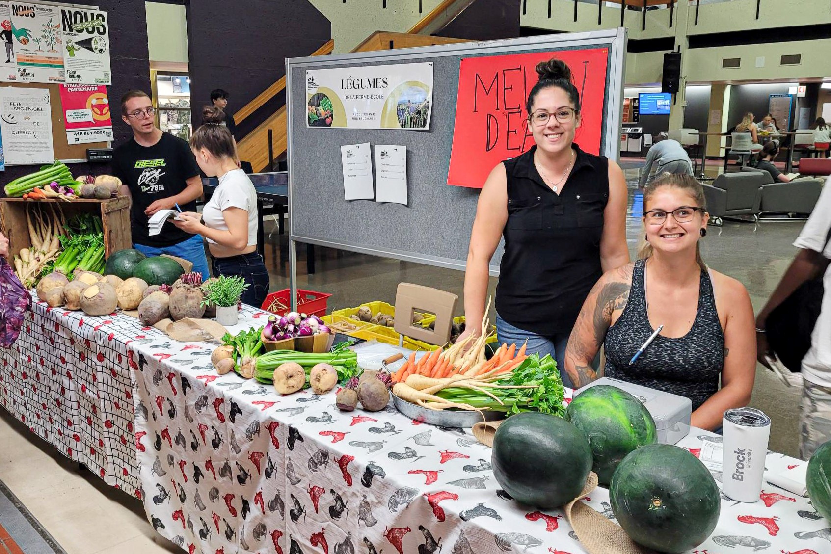 kiosque-légumes-gestion-technologies-entreprise-agricole
