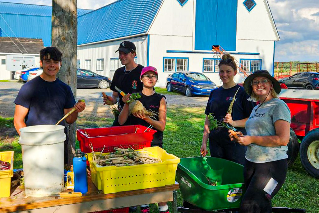 récolte-gestion-technologies-entreprise-agricole